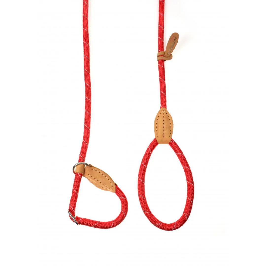 Doodlebone Slip Dog Leads